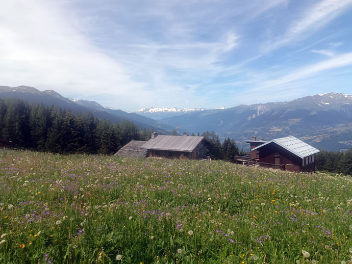 velo-vert-festival-paysage-les-arcs